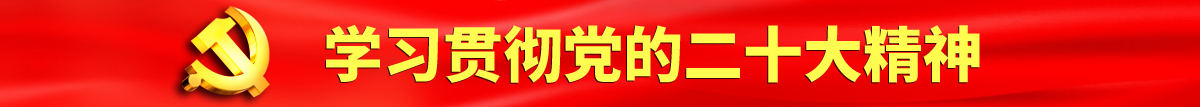 DM建站