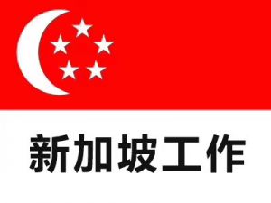 新加坡今日最新招聘岗位信息汇总