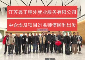 鑫正中企埃及项目2024年3月顺利出境
