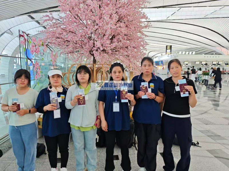 鑫正日本项目顺利出发