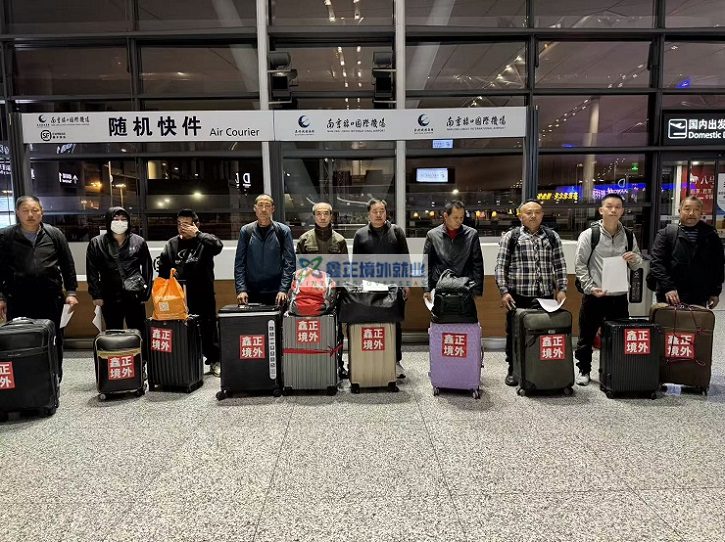 鑫正迪拜今日出境