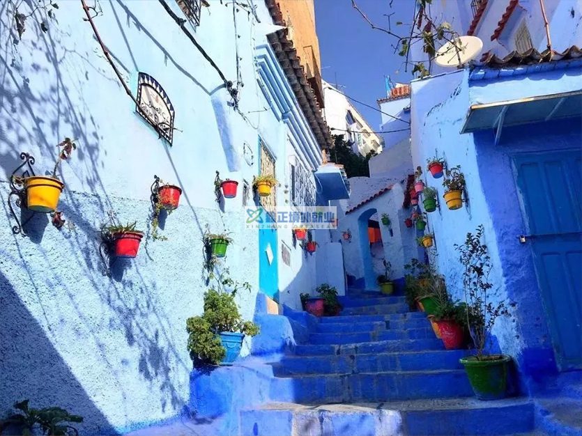 厉害了我的中国护照！| 2026 免签国最强汇总