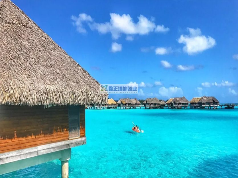 厉害了我的中国护照！| 2026 免签国最强汇总