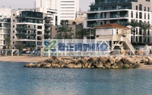 普通人出国的三条黄金路径