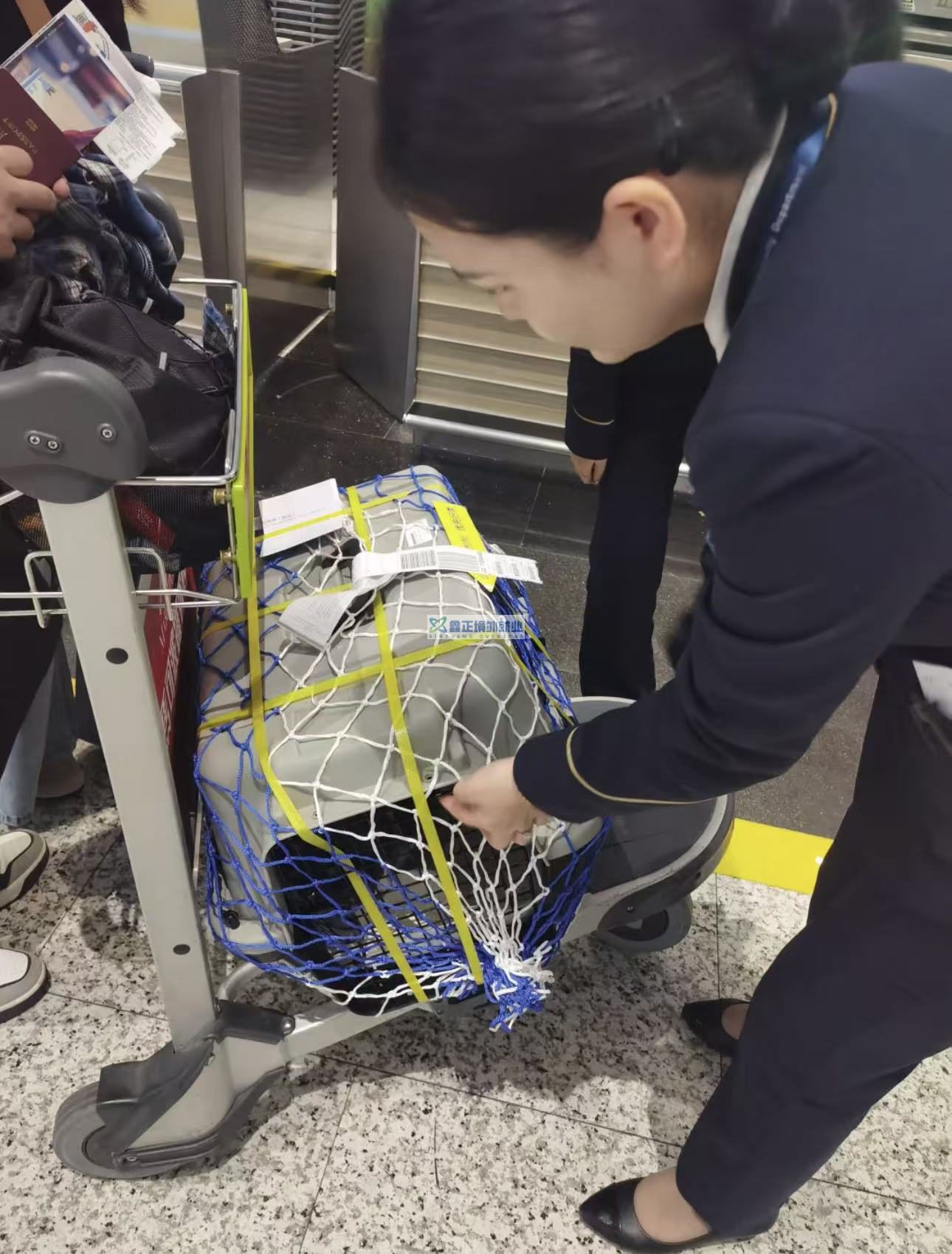 2026柬埔寨入境全攻略｜v-Pass通关秒过！行前+入境+避坑指南（收藏版）