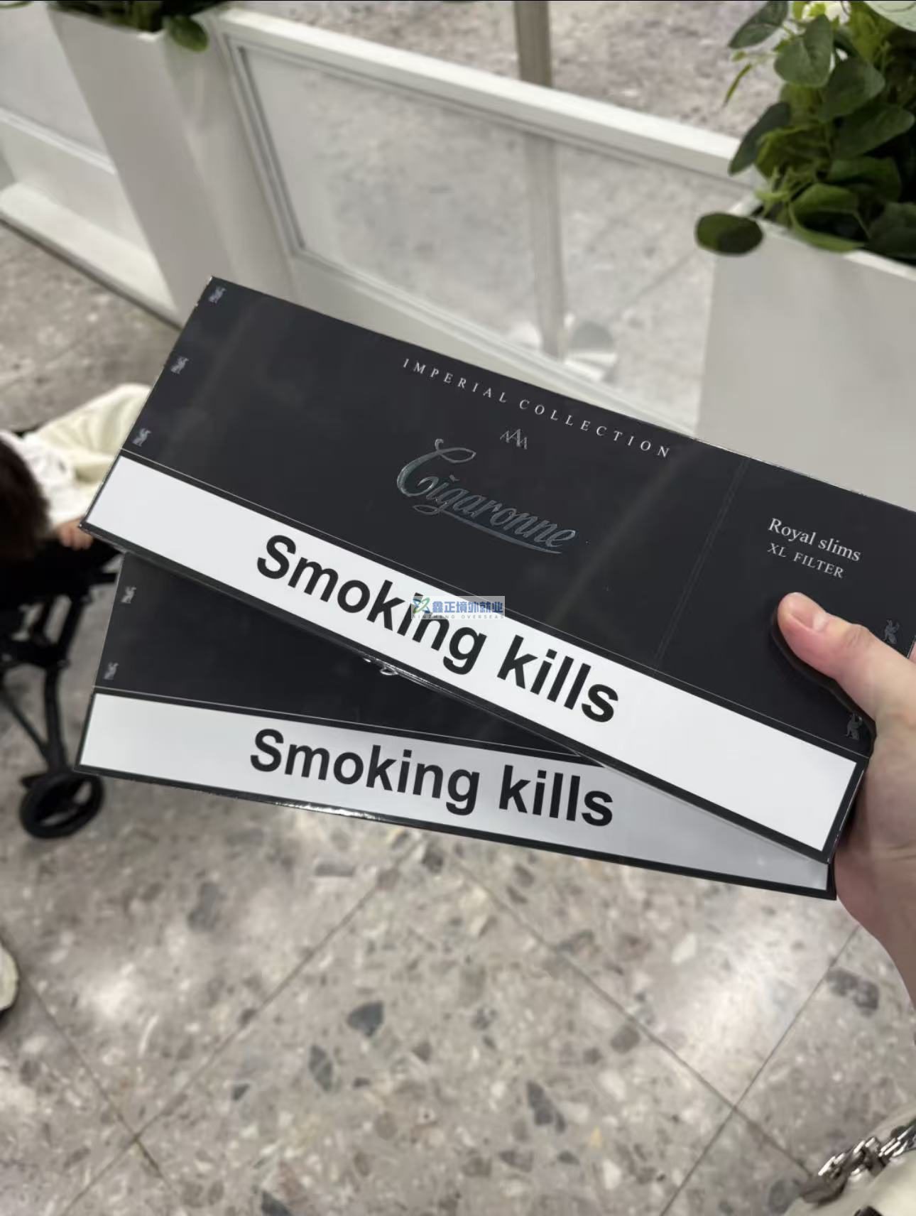 2026柬埔寨入境全攻略｜v-Pass通关秒过！行前+入境+避坑指南（收藏版）