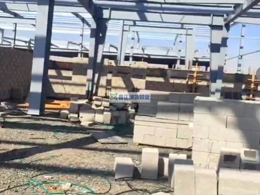 天津公司阿联酋项目 工签出境 JH