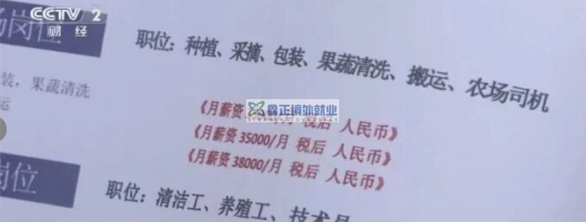 2025年全国公开报道的典型出国劳务骗局案例