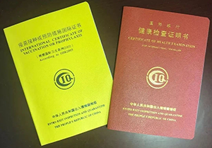 黄本，红本，国际旅行健康证明，在哪里办理呢？